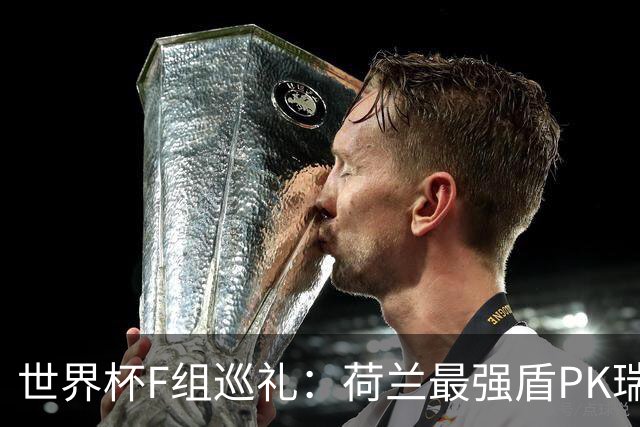 世界杯F组巡礼：荷兰最强盾PK瑞典犀利刀 日本短板明显
