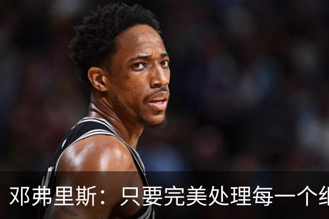 邓弗里斯：只要完美处理每一个细节，荷兰就有机会争夺世界杯冠军